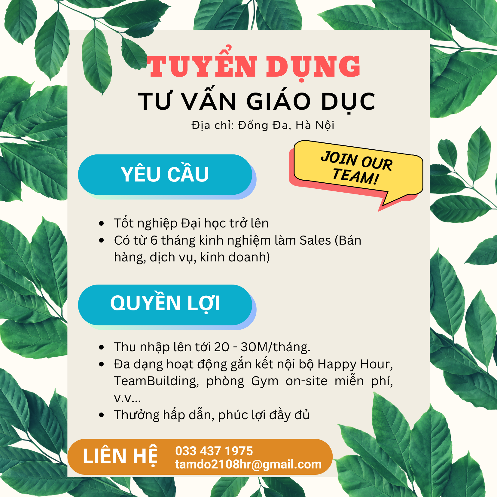 lĩnh vực hoạt động
